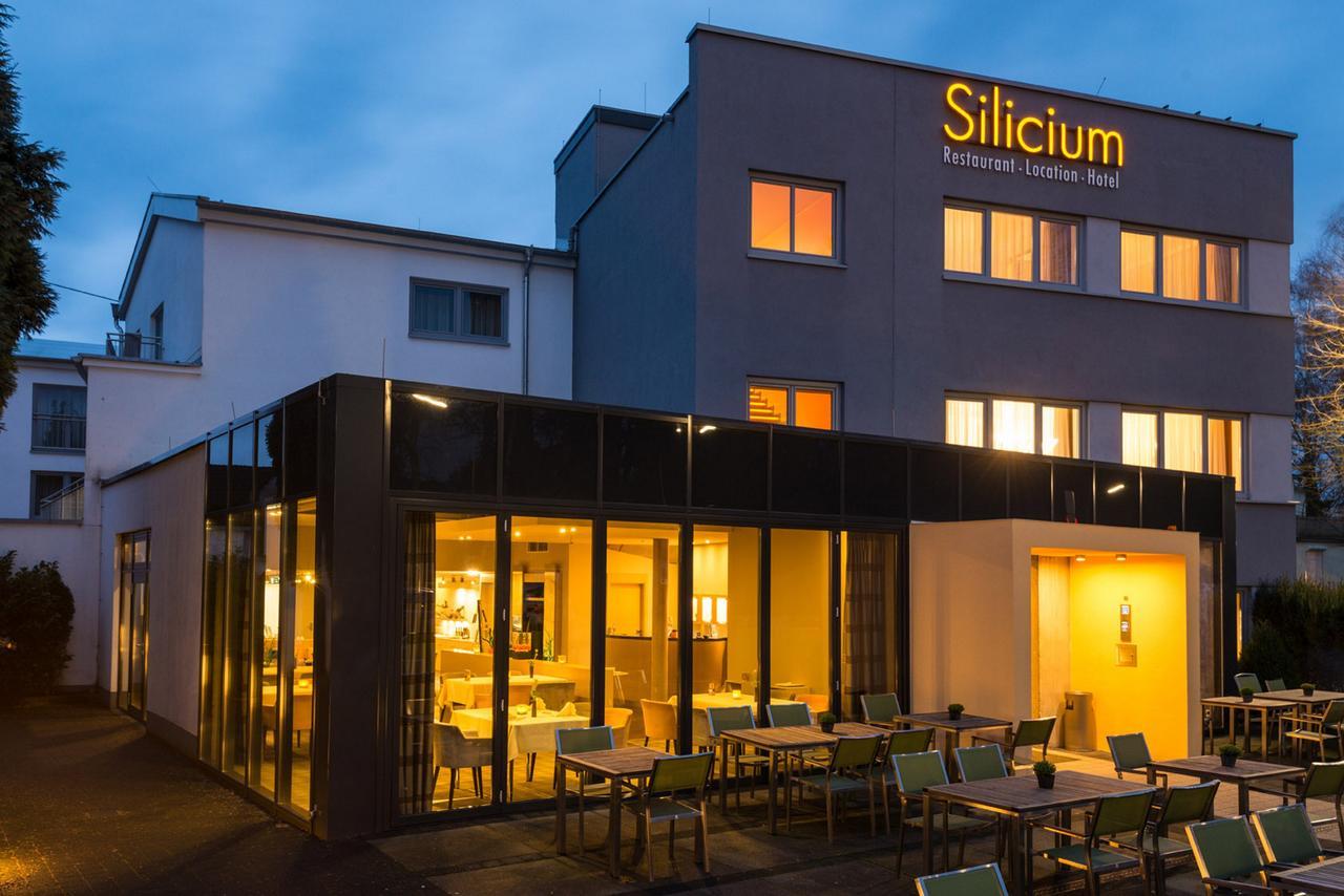 Hotel Silicium Höhr-Grenzhausen المظهر الخارجي الصورة